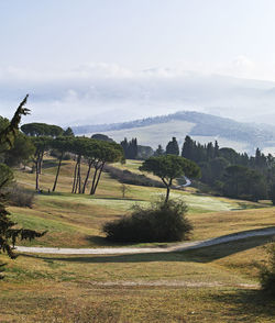 Scenic view of golf course against sky