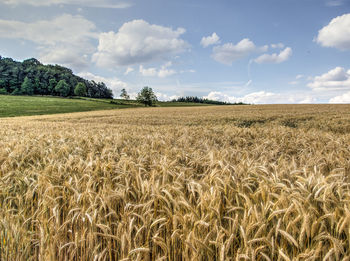 Scenic view of field against cloudy sky