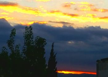 Silhouette trees against cloudy sky during sunset