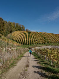 Rear view of woman walking on agricultural field against sky