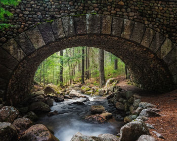 Arch bridge over rocks in forest