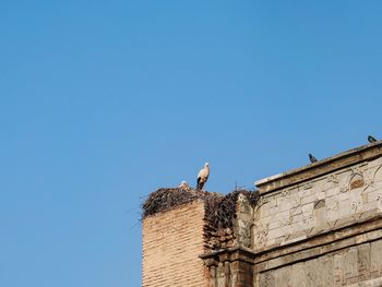 Low angle view of stork nesting on building against sky
