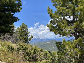 Scenic view of trees and mountains against sky