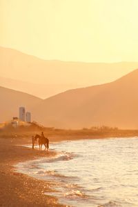 Silhouette horse standing on mountain against sky during sunset