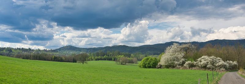 landscape