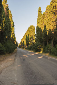 Road amidst trees against sky