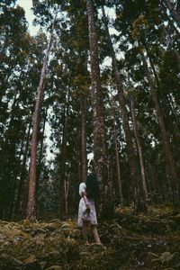 Man standing by tree in forest