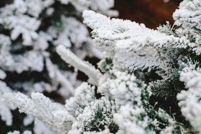 Close-up of frozen flower tree