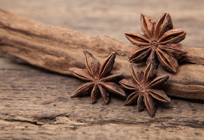 Close-up of star anise on wood