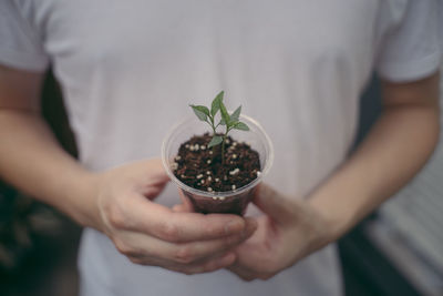 Midsection of man holding plant in glass