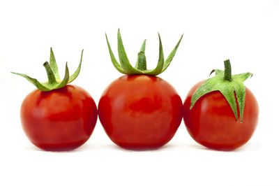 Close-up of tomatoes against white background