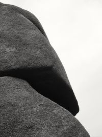 Close-up low angle view of sunlight