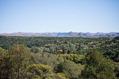 Scenic view of landscape against clear sky