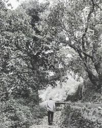 Woman standing on tree trunk