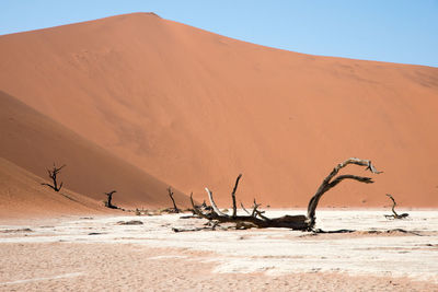 Scenic view of desert against clear sky