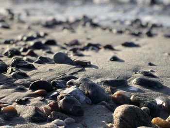 Close-up of stones on beach