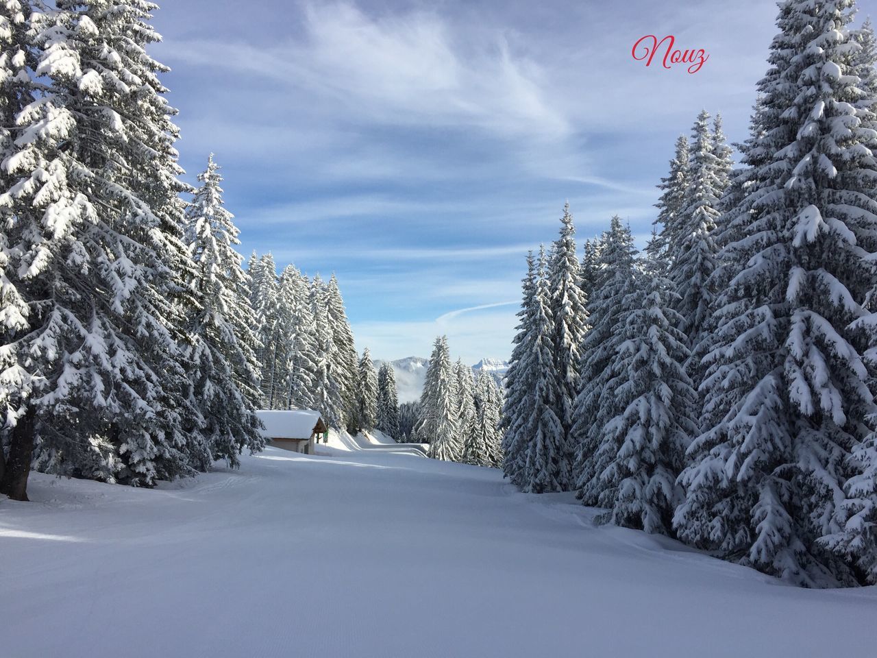 snow, winter, cold temperature, the way forward, tree, season, sky, weather, diminishing perspective, road, covering, white color, transportation, vanishing point, nature, frozen, cloud - sky, covered, tranquility, day