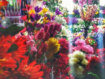 Close-up of flowers blooming outdoors