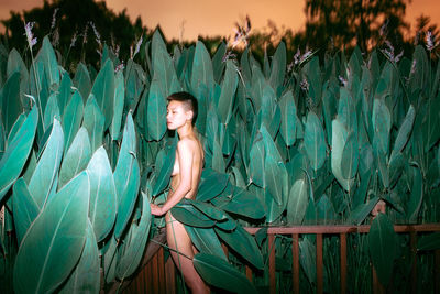 Side view of naked woman standing by plants during sunset