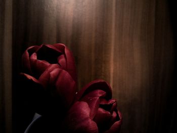 Low section of person wearing red flower