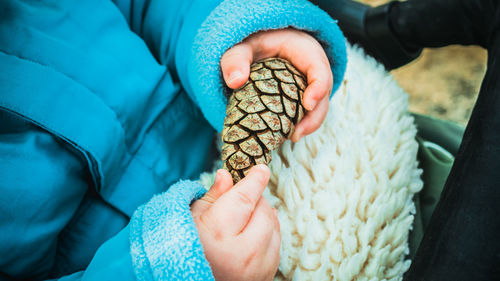 Midsection of person holding pine cone