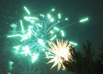 Fireworks exploding in night sky