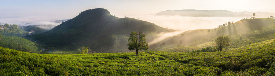 Panoramic view of landscape against sky