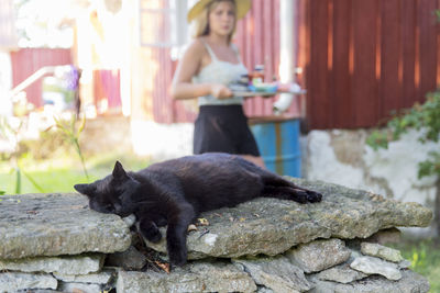 Cat sleeping on stone wall, young woman on background