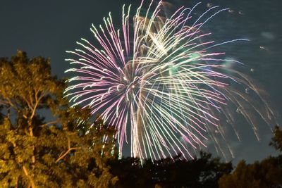 Low angle view of firework display in sky at night