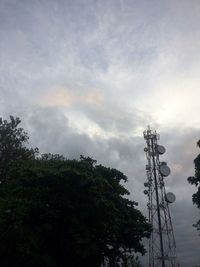 Low angle view of trees against sky