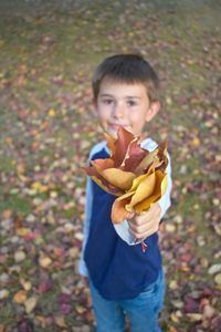 Portrait of boy holding leaves