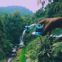 Scenic view of waterfall in forest