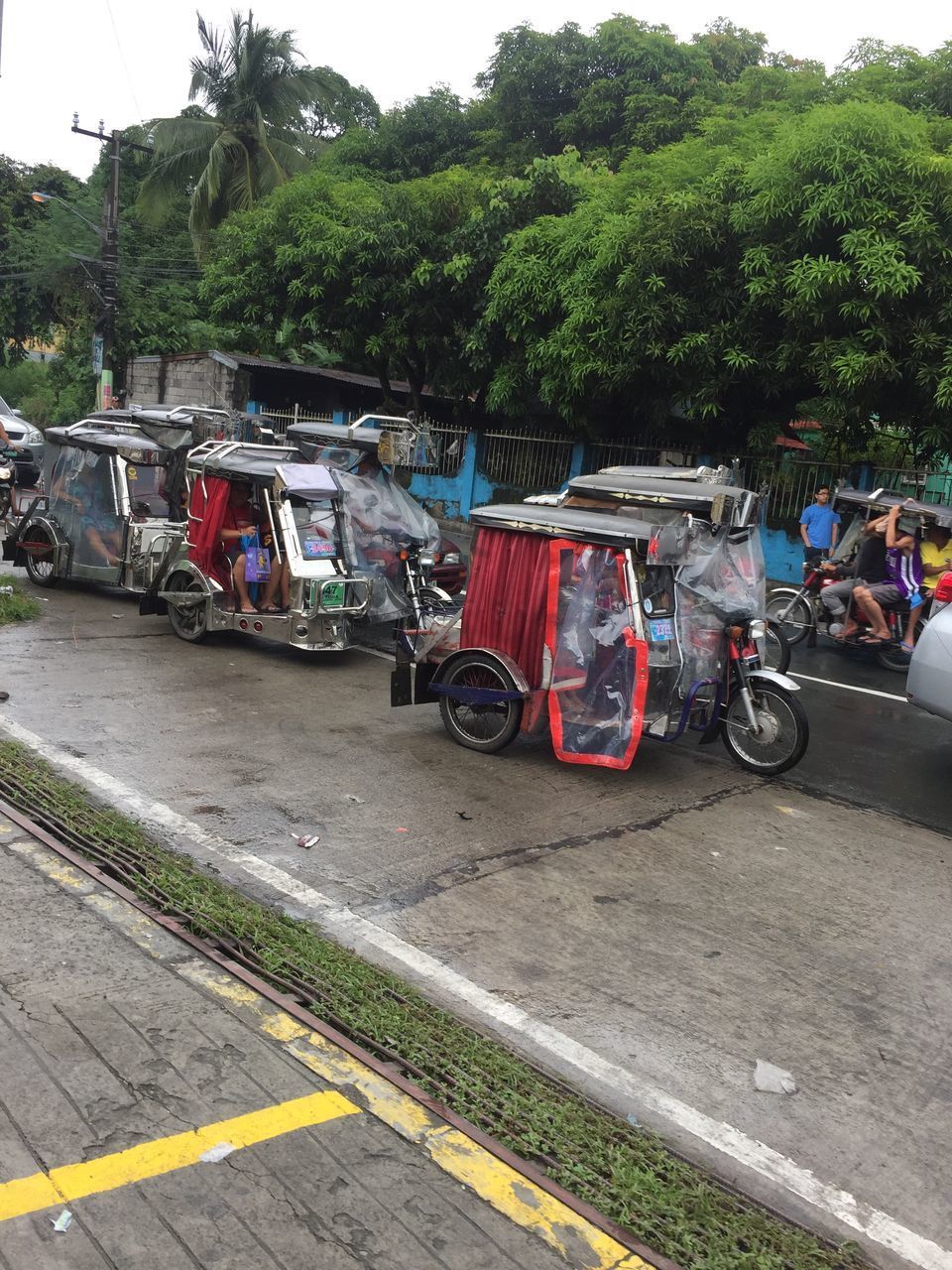 CARS ON STREET AGAINST TREES