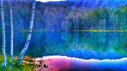 Reflection of trees in lake