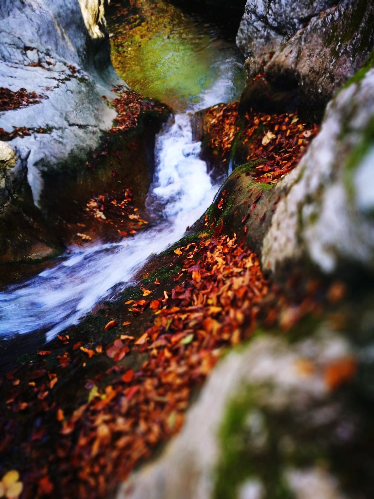 Planina Jezero