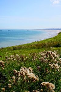 Scenic view of sea against clear sky