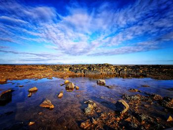 Scenic view of land against blue sky during winter