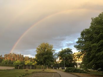 Rainbow over trees against sky