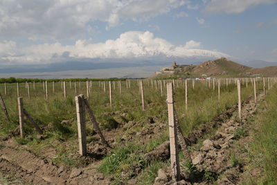 Wooden fence on field against sky