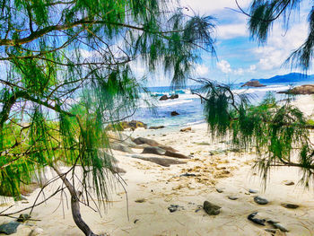 Scenic view of beach against sky