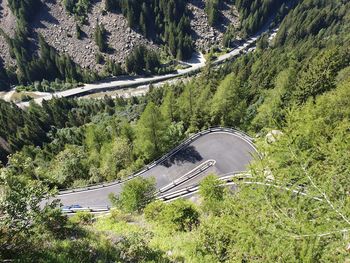 High angle view of road amidst trees in forest