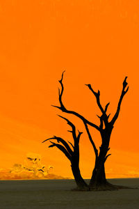 Silhouette tree against sea during sunset