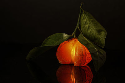 Close-up of pumpkin
