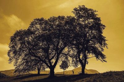 Scenic view of landscape at sunset