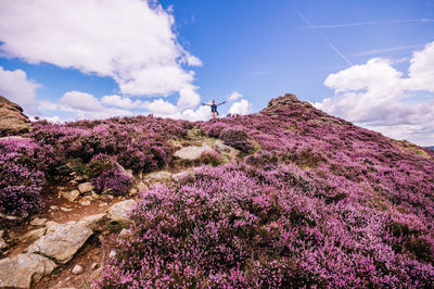 Low angle view of flowers growing in garden
