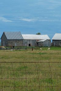 Barn on field by houses against sky