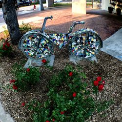 Close-up high angle view of leaves