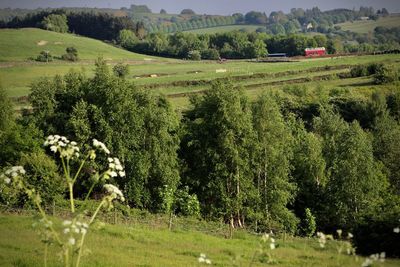 Scenic view of field