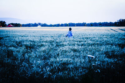 Scenic view of field against clear sky