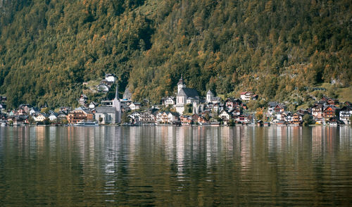 View of lake with plants in foreground